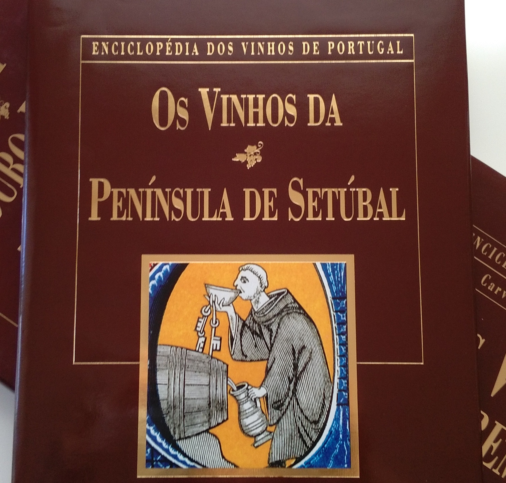 Newsletter n.º 37 - Foto 6
